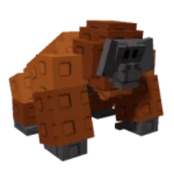 Orangutan