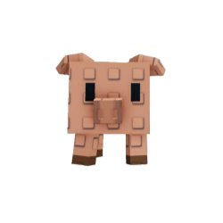 Pig