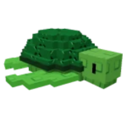 Sea Turtle