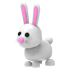 Bunny NFR