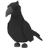 Crow NFR