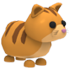 Ginger Cat MFR
