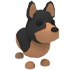 Australian Kelpie NFR