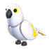 White Amazon NFR