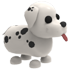 Dalmatian NFR