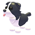 Border Collie NFR