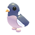 Wood Pigeon NFR