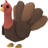 Turkey MFR